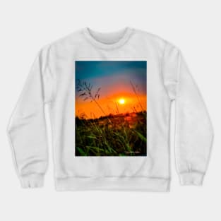 One From The Wife Crewneck Sweatshirt